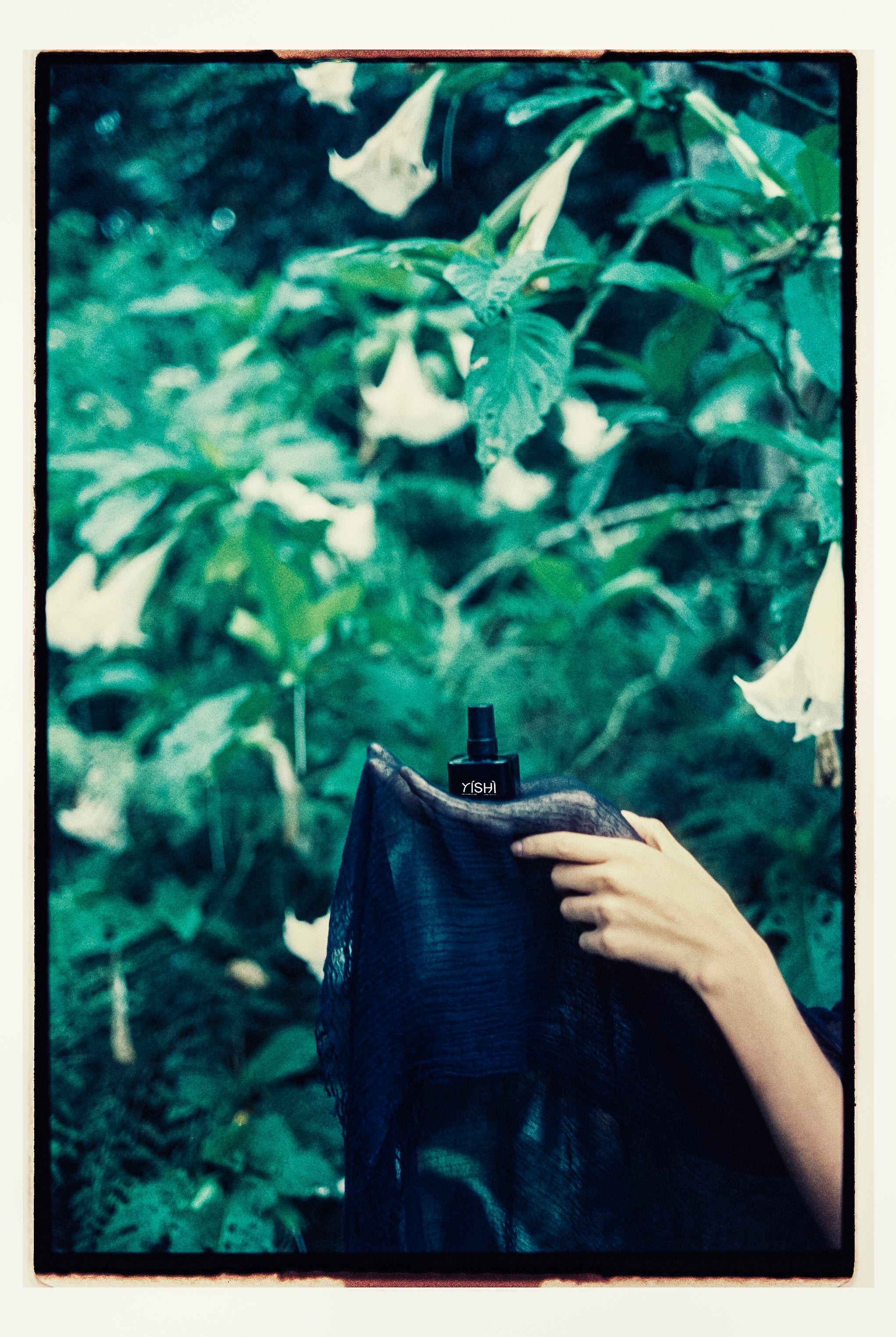 Brightening + repair C serum