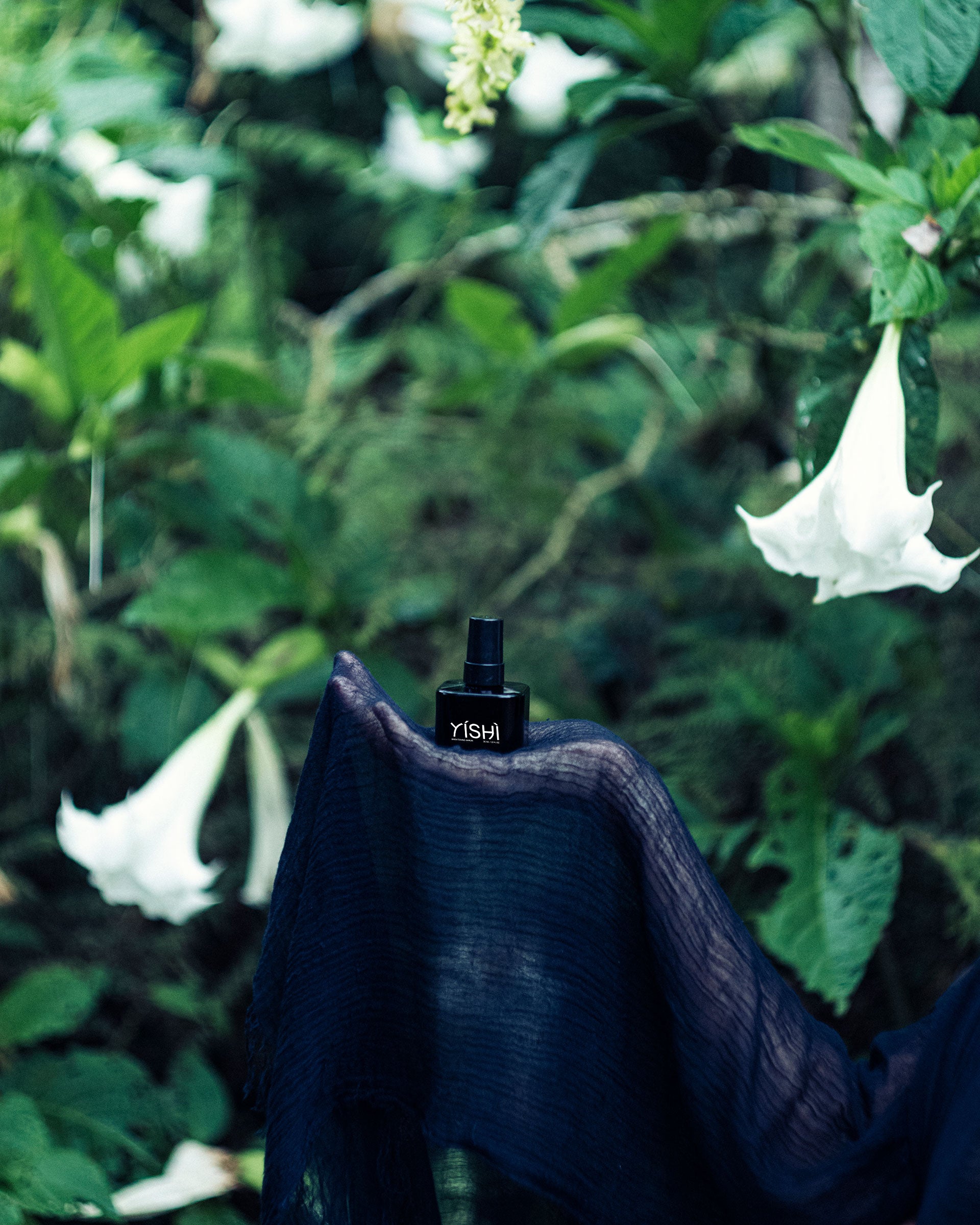 Brightening + repair C serum